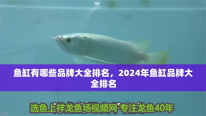 魚(yú)缸有哪些品牌大全排名，2024年魚(yú)缸品牌大全排名