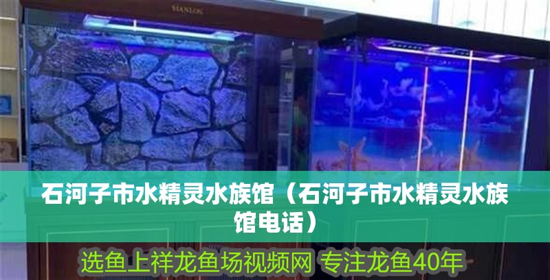 石河子市水精靈水族館（石河子市水精靈水族館電話）