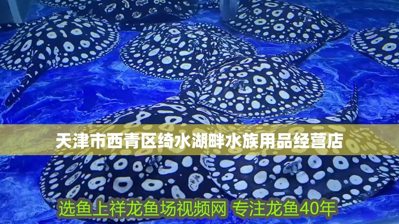 天津市西青區綺水湖畔水族用品經營店
