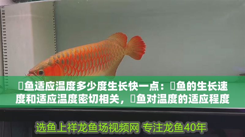 魟魚適應(yīng)溫度多少度生長快一點(diǎn)：魟魚的生長速度和適應(yīng)溫度密切相關(guān)，魟魚對溫度的適應(yīng)程度有所不同