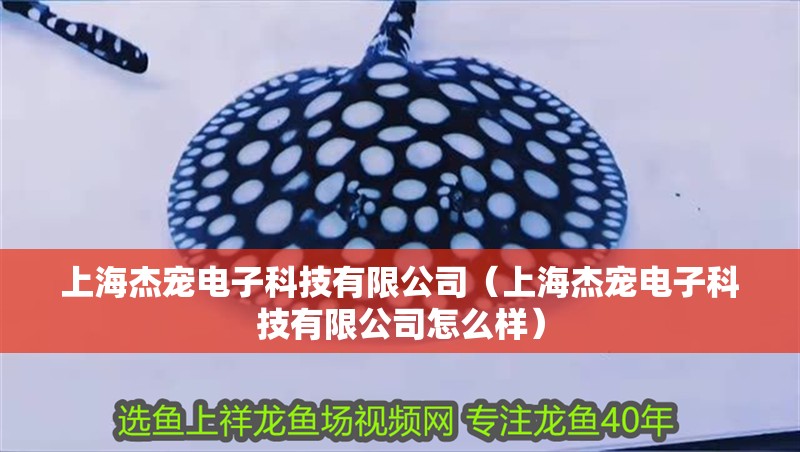 上海杰寵電子科技有限公司（上海杰寵電子科技有限公司怎么樣）
