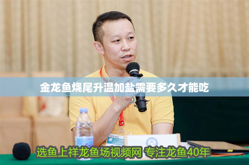 金龍魚燒尾升溫加鹽需要多久才能吃