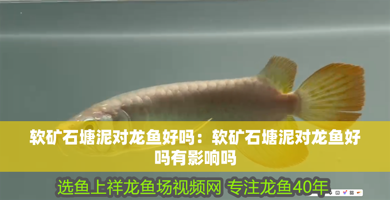 魚缸過濾器選購指南:自制魚缸過濾器魚缸上置過濾器對于養(yǎng)魚愛好者的必備知識 軟礦石塘泥對龍魚好嗎:軟礦石塘泥對龍魚好嗎有影響嗎 水族問答 軟礦石塘泥對龍魚好嗎:軟礦石塘泥對龍魚好嗎有影響嗎 軟礦石塘泥對龍魚好嗎:軟礦石塘泥對龍魚好嗎有影響嗎 水族問答