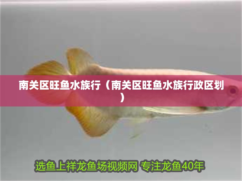 南關區旺魚水族行（南關區旺魚水族行政區劃）