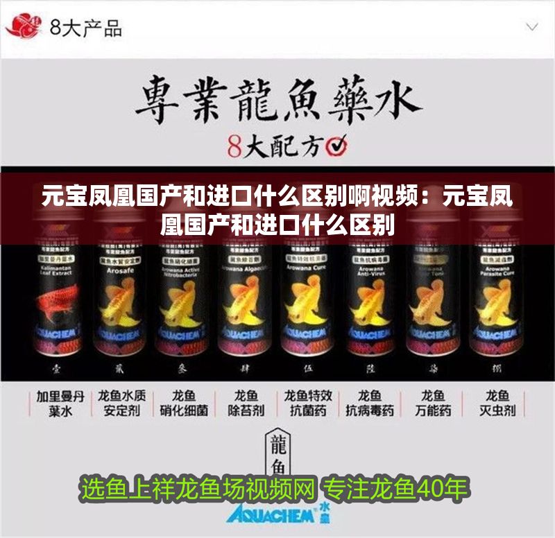 詳細(xì)閱讀:元寶鳳凰國(guó)產(chǎn)和進(jìn)口什么區(qū)別啊視頻:元寶鳳凰國(guó)產(chǎn)和進(jìn)口什么區(qū)別 元寶鳳凰國(guó)產(chǎn)和進(jìn)口什么區(qū)別啊視頻:元寶鳳凰國(guó)產(chǎn)和進(jìn)口什么區(qū)別