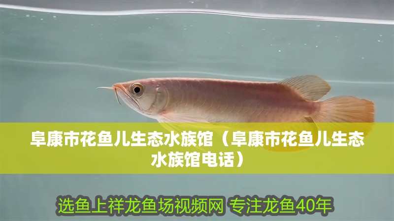 阜康市花魚兒生態(tài)水族館（阜康市花魚兒生態(tài)水族館電話）