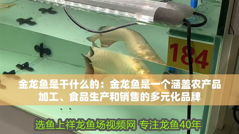 金龍魚是干什么的：金龍魚是一個涵蓋農產品加工、食品生產和銷售的多元化品牌