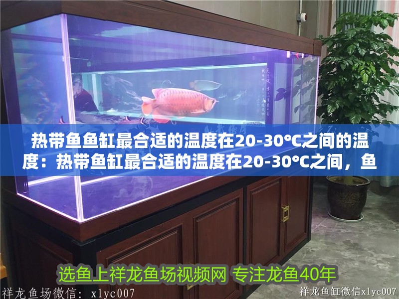 熱帶魚魚缸最合適的溫度在20-30℃之間的溫度：熱帶魚缸最合適的溫度在20-30℃之間，魚缸最合適的溫度