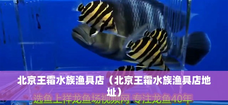 北京王霜水族漁具店（北京王霜水族漁具店地址） 北京王霜水族漁具店（北京王霜水族漁具店地址） 全國水族館企業名錄 第1張
