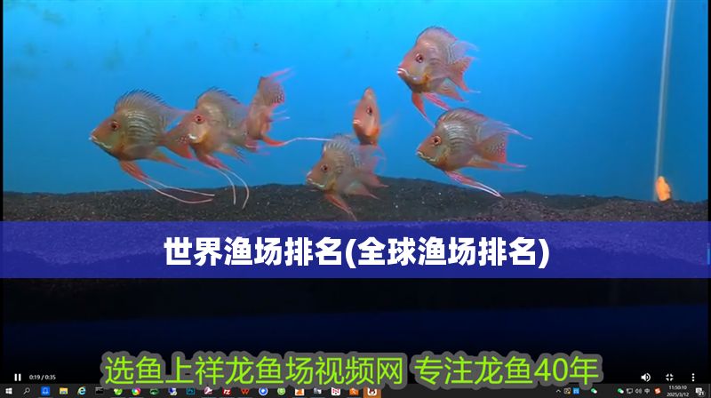 世界漁場排名(全球漁場排名)