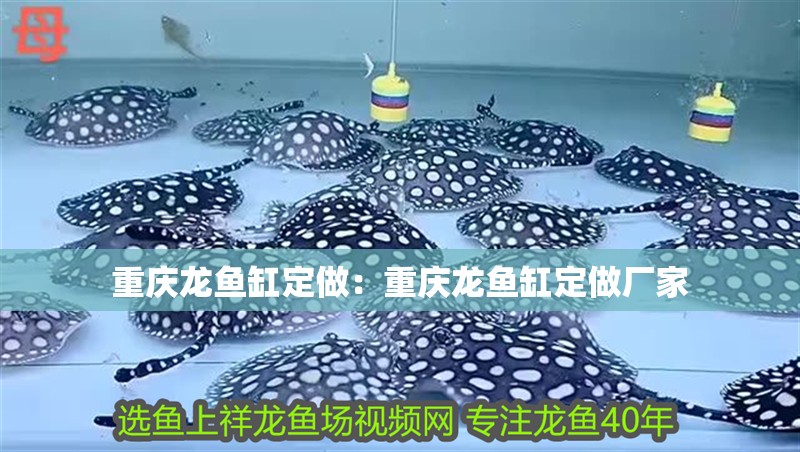 重慶龍魚缸定做：重慶龍魚缸定做廠家