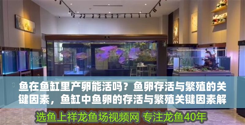 魚在魚缸里產卵能活嗎？魚卵存活與繁殖的關鍵因素，魚缸中魚卵的存活與繁殖關鍵因素解析
