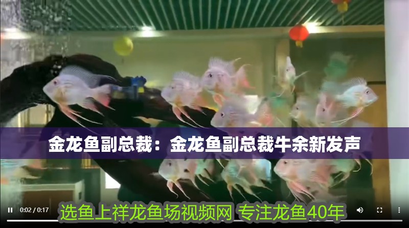 金龍魚副總裁：金龍魚副總裁牛余新發(fā)聲