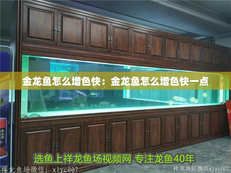 金龍魚怎么增色快：金龍魚怎么增色快一點