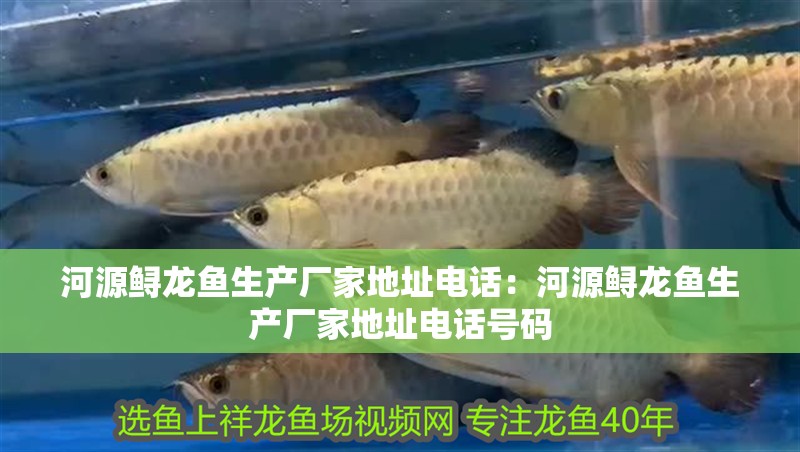河源鱘龍魚生產廠家地址電話：河源鱘龍魚生產廠家地址電話號碼 河源鱘龍魚生產廠家地址電話：河源鱘龍魚生產廠家地址電話號碼 水族問答