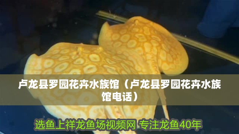 盧龍縣羅園花卉水族館（盧龍縣羅園花卉水族館電話） 盧龍縣羅園花卉水族館（盧龍縣羅園花卉水族館電話） 全國水族館企業名錄 第1張