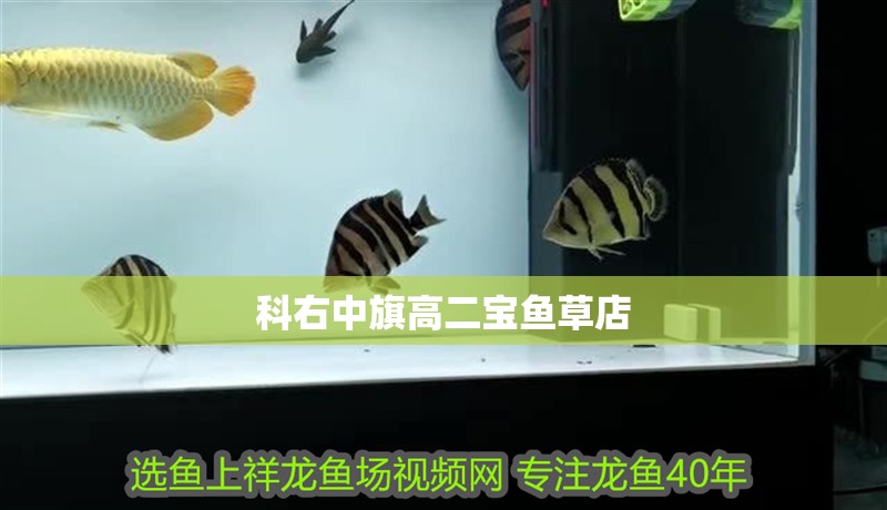 科右中旗高二寶魚草店