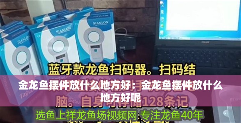 金龍魚擺件放什么地方好：金龍魚擺件放什么地方好呢