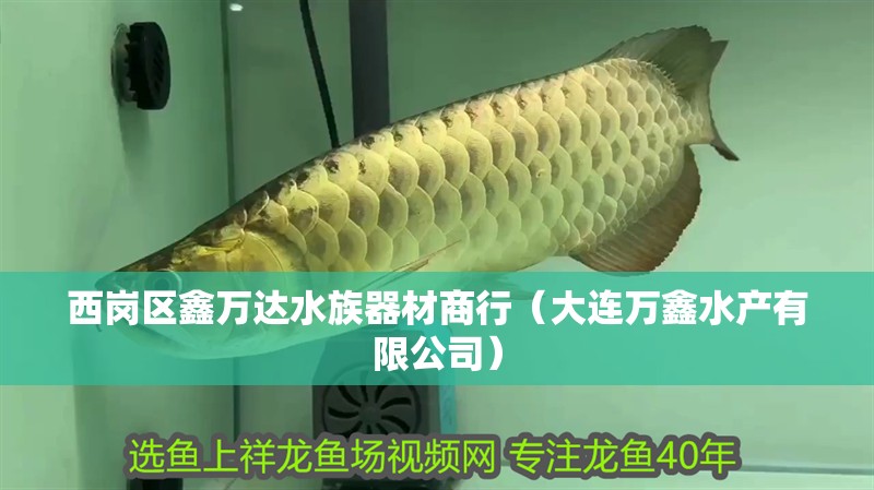 西崗區(qū)鑫萬達(dá)水族器材商行（大連萬鑫水產(chǎn)有限公司） 西崗區(qū)鑫萬達(dá)水族器材商行（大連萬鑫水產(chǎn)有限公司） 全國水族館企業(yè)名錄 第1張