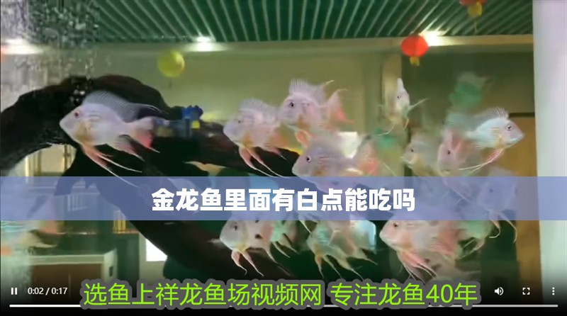 金龍魚(yú)里面有白點(diǎn)能吃嗎