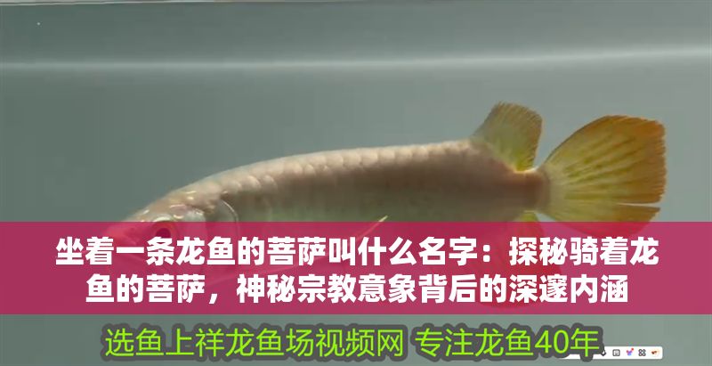 坐著一條龍魚的菩薩叫什么名字：探秘騎著龍魚的菩薩，神秘宗教意象背后的深邃內(nèi)涵