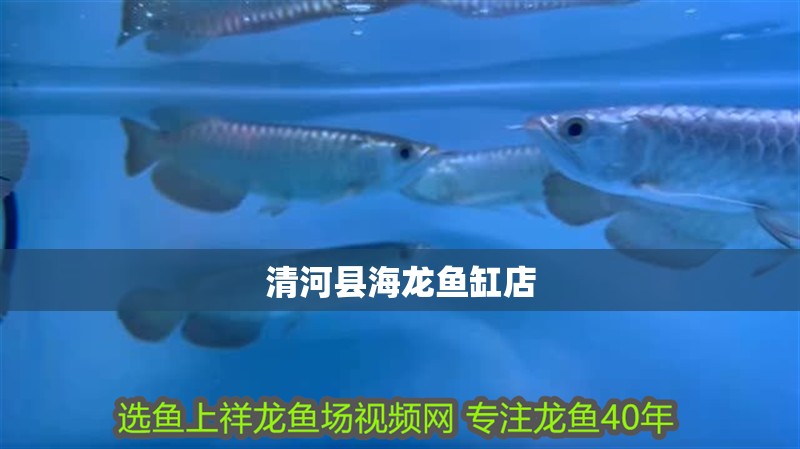 清河縣海龍魚缸店