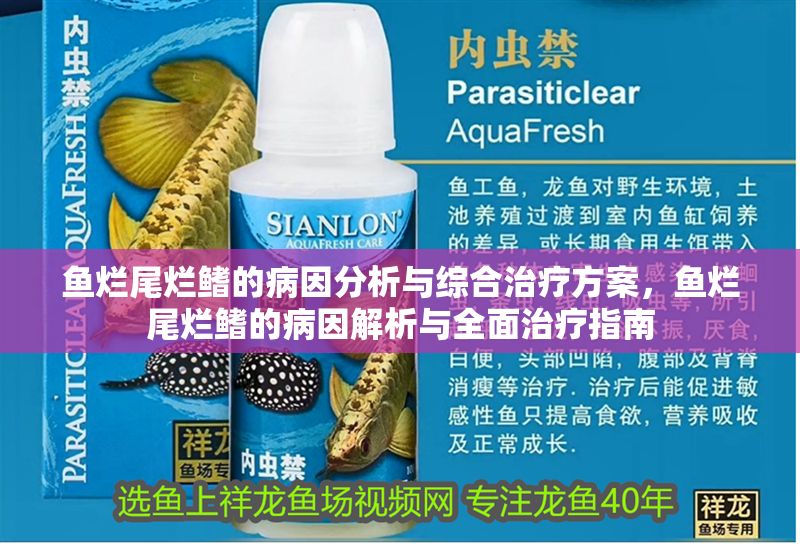 魚(yú)爛尾爛鰭的病因分析與綜合治療方案，魚(yú)爛尾爛鰭的病因解析與全面治療指南 魚(yú)爛尾爛鰭的病因分析與綜合治療方案，魚(yú)爛尾爛鰭的病因解析與全面治療指南 龍魚(yú)常見(jiàn)疾病 第1張