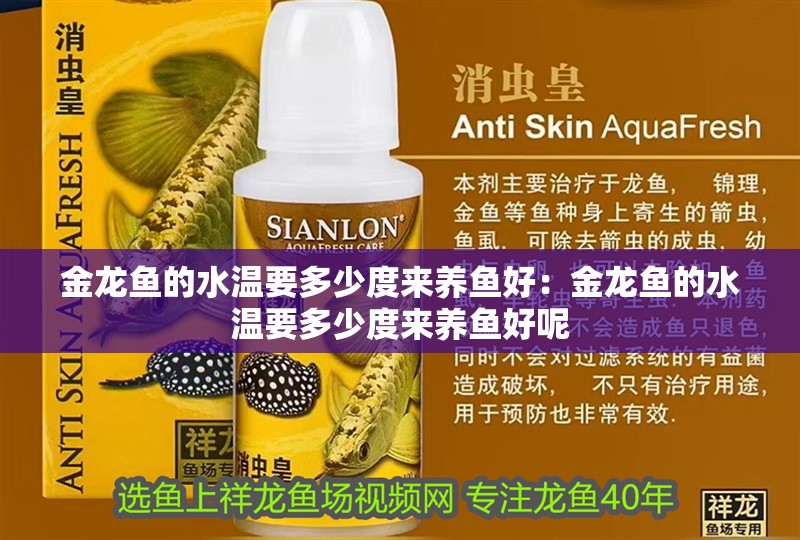 金龍魚(yú)的水溫要多少度來(lái)養(yǎng)魚(yú)好:金龍魚(yú)的水溫要多少度來(lái)養(yǎng)魚(yú)好呢 水族問(wèn)答 金龍魚(yú)的水溫要多少度來(lái)養(yǎng)魚(yú)好:金龍魚(yú)的水溫要多少度來(lái)養(yǎng)魚(yú)好呢 金龍魚(yú)的水溫要多少度來(lái)養(yǎng)魚(yú)好:金龍魚(yú)的水溫要多少度來(lái)養(yǎng)魚(yú)好呢 水族問(wèn)答