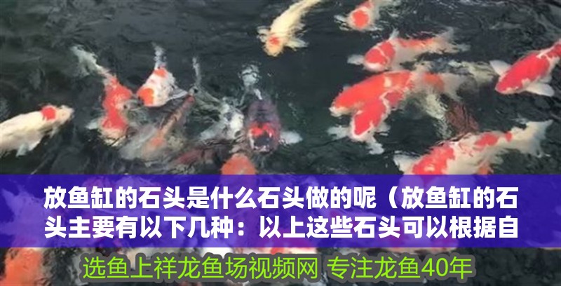 放魚缸的石頭是什么石頭做的呢（放魚缸的石頭主要有以下幾種：以上這些石頭可以根據自己的喜好）