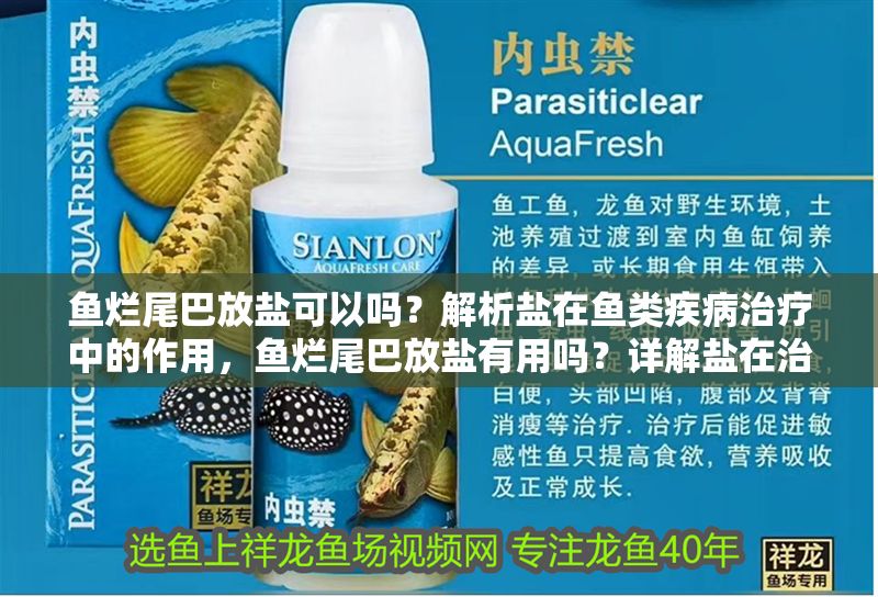 魚爛尾巴放鹽可以嗎？解析鹽在魚類疾病治療中的作用，魚爛尾巴放鹽有用嗎？詳解鹽在治療魚類爛尾病中的作用與正確用法