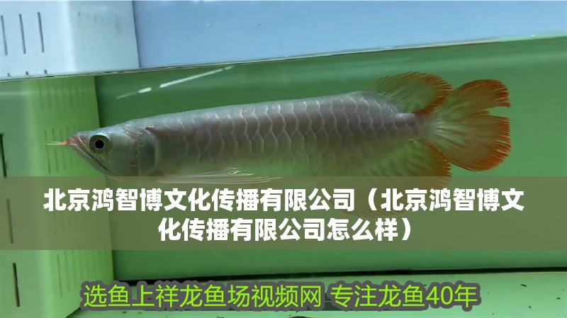 北京鴻智博文化傳播有限公司（北京鴻智博文化傳播有限公司怎么樣） 北京鴻智博文化傳播有限公司（北京鴻智博文化傳播有限公司怎么樣） 全國水族館企業名錄 第1張