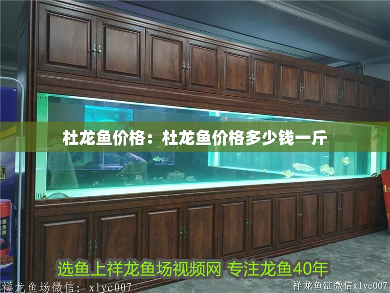 杜龍魚價格：杜龍魚價格多少錢一斤 杜龍魚價格：杜龍魚價格多少錢一斤 水族問答