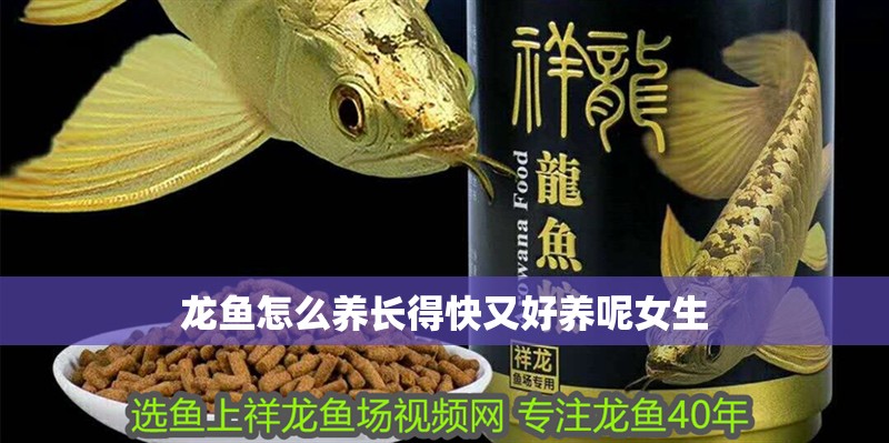 龍魚怎么養長得快又好養呢女生