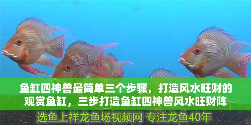 魚缸四神獸最簡單三個步驟，打造風水旺財的觀賞魚缸，三步打造魚缸四神獸風水旺財陣