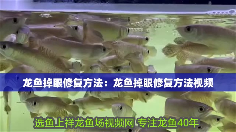 龍魚掉眼修復方法：龍魚掉眼修復方法視頻 龍魚掉眼修復方法：龍魚掉眼修復方法視頻 水族問答