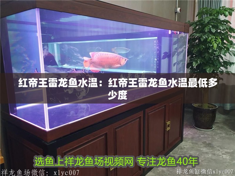 紅帝王雷龍魚水溫：紅帝王雷龍魚水溫最低多少度