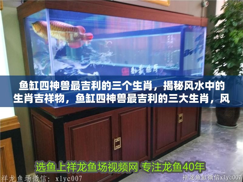 魚缸四神獸最吉利的三個生肖，揭秘風水中的生肖吉祥物，魚缸四神獸最吉利的三大生肖，風水吉祥物大揭秘 魚缸四神獸最吉利的三個生肖，揭秘風水中的生肖吉祥物，魚缸四神獸最吉利的三大生肖，風水吉祥物大揭秘 龍魚百科 第1張