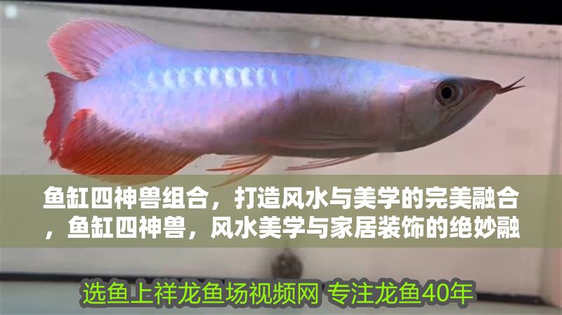 魚缸四神獸組合，打造風水與美學的完美融合，魚缸四神獸，風水美學與家居裝飾的絕妙融合