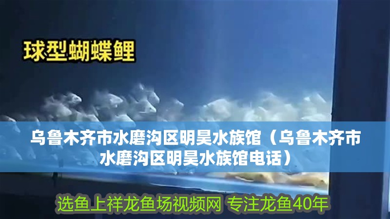 烏魯木齊市水磨溝區明昊水族館（烏魯木齊市水磨溝區明昊水族館電話）