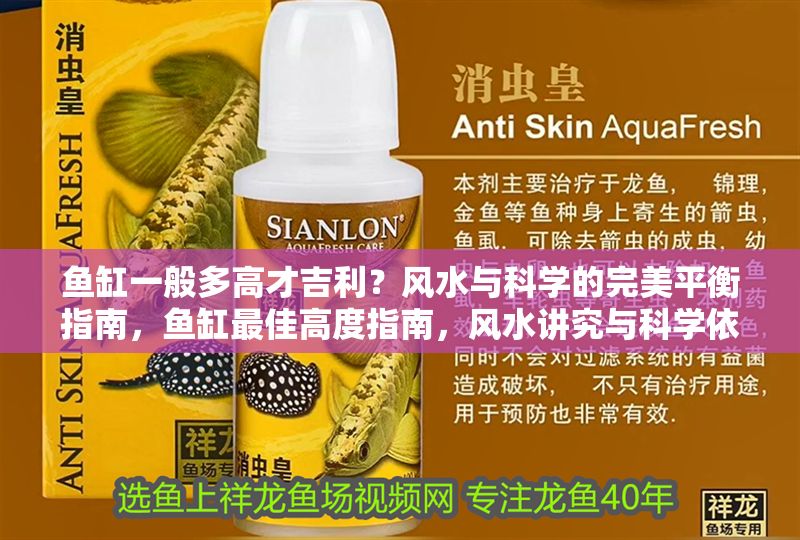 魚缸一般多高才吉利？風水與科學的完美平衡指南，魚缸最佳高度指南，風水講究與科學依據的平衡之道