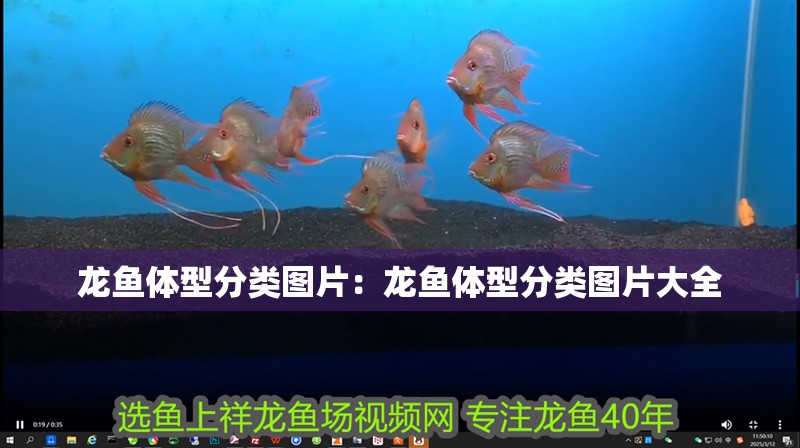昆明哪里有賣魚缸（昆明哪里有賣魚缸的地方）