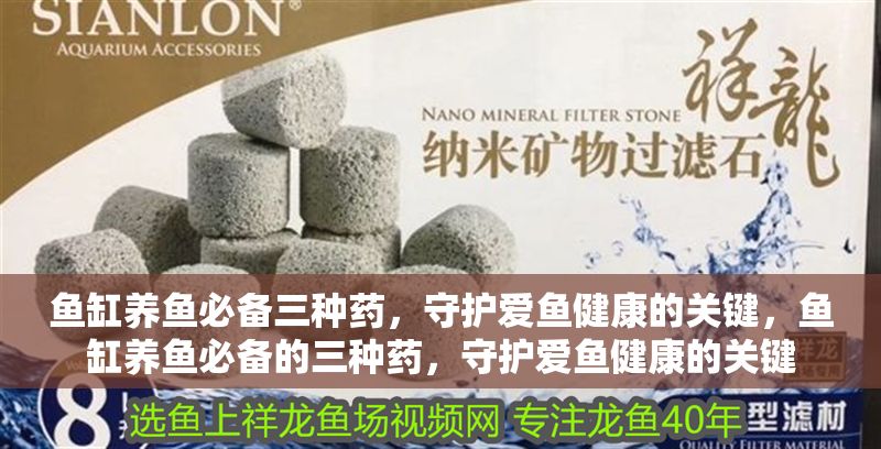 魚缸養魚必備三種藥，守護愛魚健康的關鍵，魚缸養魚必備的三種藥，守護愛魚健康的關鍵