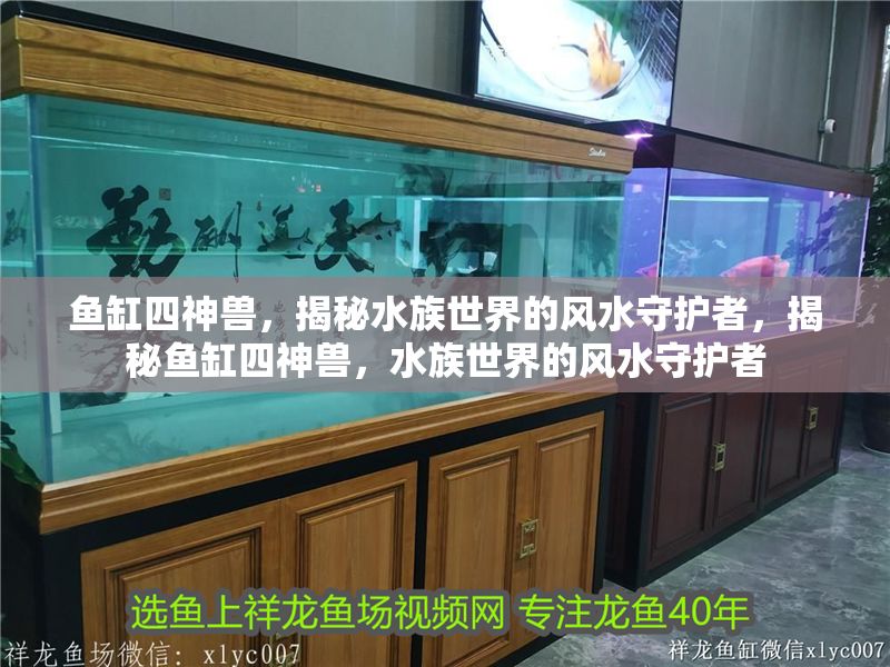 魚缸四神獸，揭秘水族世界的風水守護者，揭秘魚缸四神獸，水族世界的風水守護者