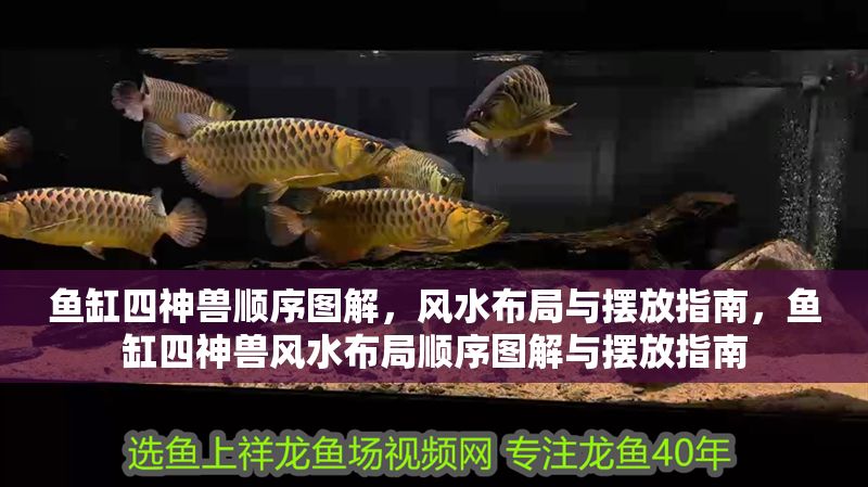 魚缸四神獸順序圖解，風水布局與擺放指南，魚缸四神獸風水布局順序圖解與擺放指南