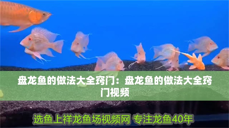 盤龍魚的做法大全竅門：盤龍魚的做法大全竅門視頻