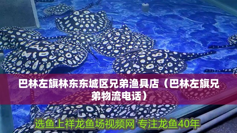 <strong><mark>巴林左旗</mark></strong>林東東城區兄弟漁具店（<strong><mark>巴林左旗</mark></strong>兄弟物流電話）