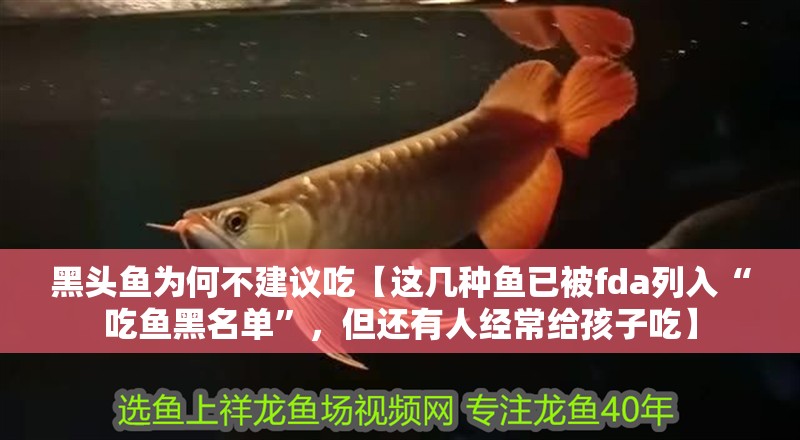 黑頭魚為何不建議吃【這幾種魚已被fda列入“吃魚黑名單”，但還有人經常給孩子吃】