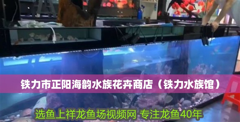 鐵力市正陽海韻水族花卉商店（鐵力水族館） 鐵力市正陽海韻水族花卉商店（鐵力水族館） 全國水族館企業名錄 第1張