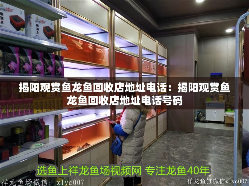 揭陽觀賞魚龍魚回收店地址電話：揭陽觀賞魚龍魚回收店地址電話號碼 揭陽觀賞魚龍魚回收店地址電話：揭陽觀賞魚龍魚回收店地址電話號碼 水族問答