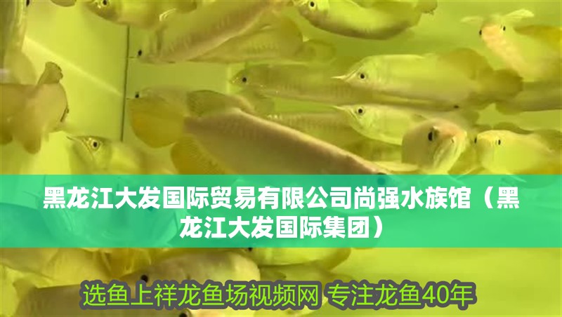 黑龍江大發國際貿易有限公司尚強水族館（黑龍江大發國際集團）